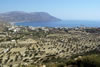 Veel olijfbomen bij Karpathos stad